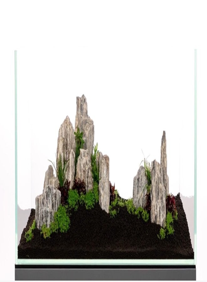 RUKDA صخور خشبية طبيعية لامعة من روكدا® | أحجار رمادية متلألئة متعددة الطبقات بتأثير الميكا | تنسيق أحواض السمك، أحواض النباتات المائية، أحواض الزواحف، أحواض الأسماك، ديكور الحدائق والمنازل | أحجار طبيعية 100% (0.9 كيلوغرام) - Image 5